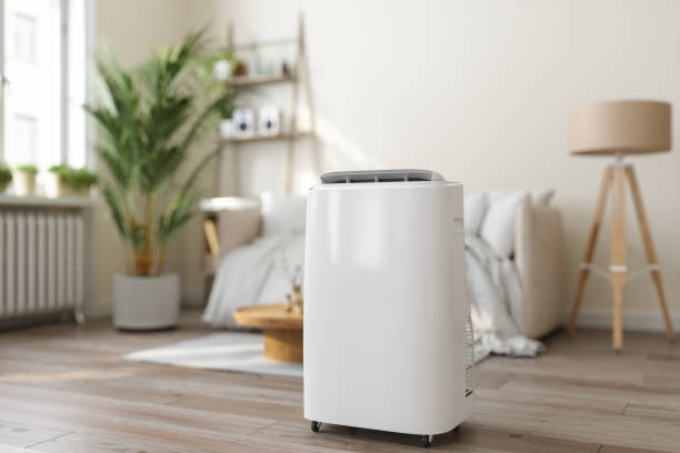 Best HVAC Tune-Up Services  in Dorr, MI